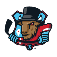 Bloomington Bison